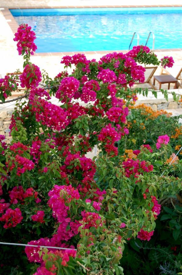 Aeolos Hotel Koufonisia Bagian luar foto